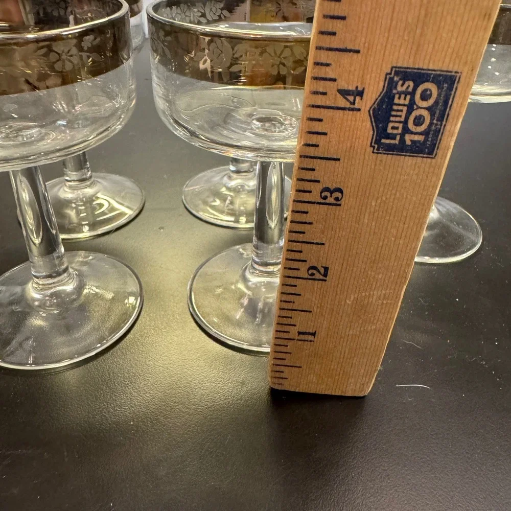 Vintage Champagne Coupe Set 6 Silver Floral Etched Rim Mid Century Clear Glass
